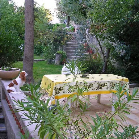 Daire Le Jardin